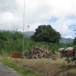 View of the QTH with some of our antennas